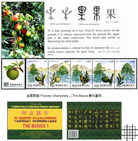 ������⣺������