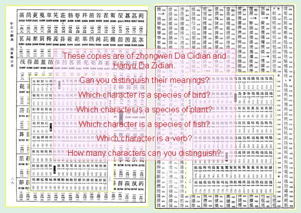 ��FLOWERY CHARACTERS ACCELERATE COURSE �����ٳɽ�����ͼ26