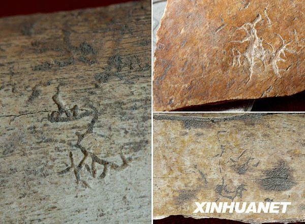 中国考古专家最新考证表明，4年前在中国东部山东省昌乐县集中出土的100多块兽甲骨上所刻的600多个符号，结构和布局有一定的规律可循，应为距今约4500年的中国早期文字。